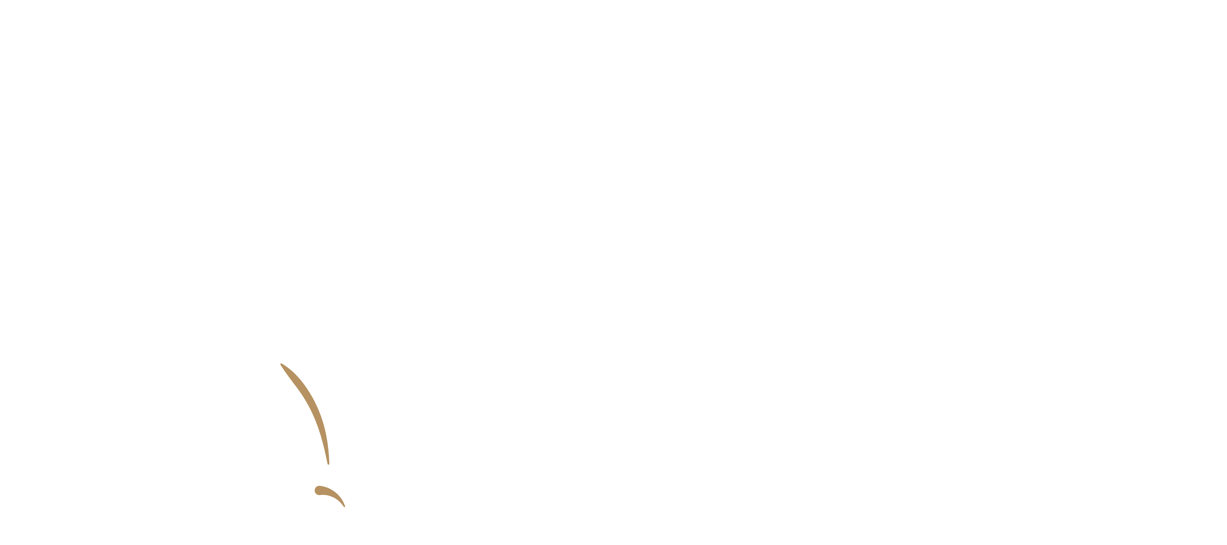 Lucas Theledi Kgomo Foundation Footer Logo